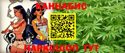 индика Кулебаки